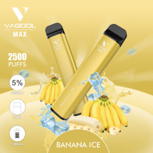 Vagool Max 2500 puffs disposable vape device wholesale Banana ice