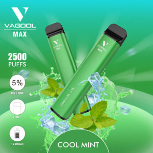 Vagool Max 2500 puffs disposable vape device wholesale (Cool mint)